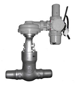 Actuated Wedge Gate Valve